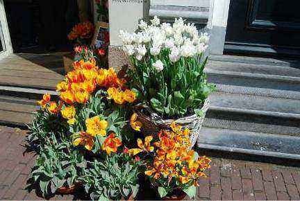 Levering en installatie